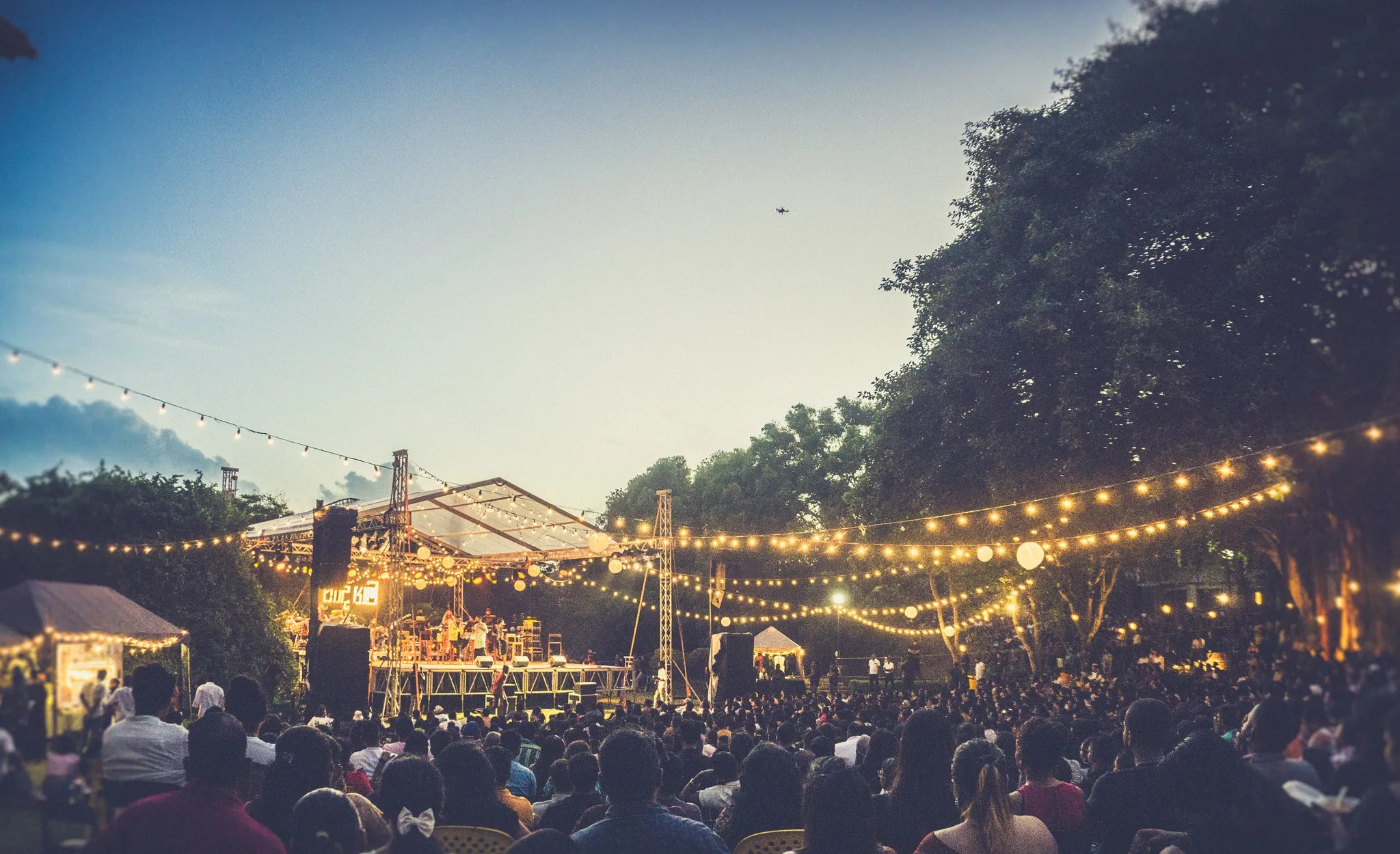 A garden crowd under festoon lights at dusk